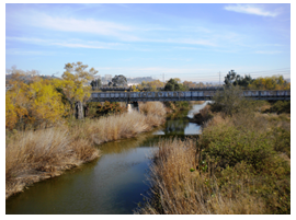 San Diego River Double Track